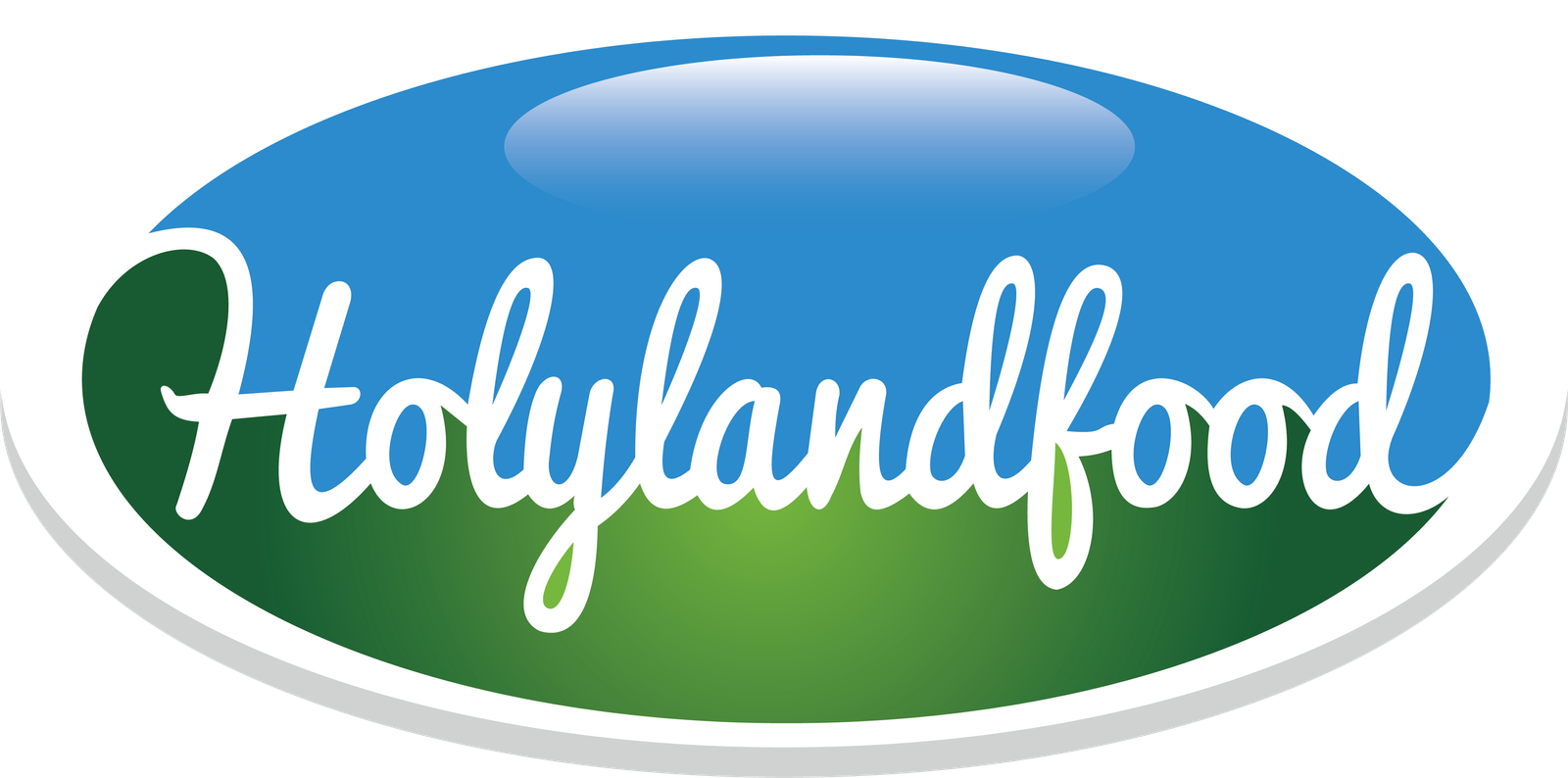 Logo Holyland